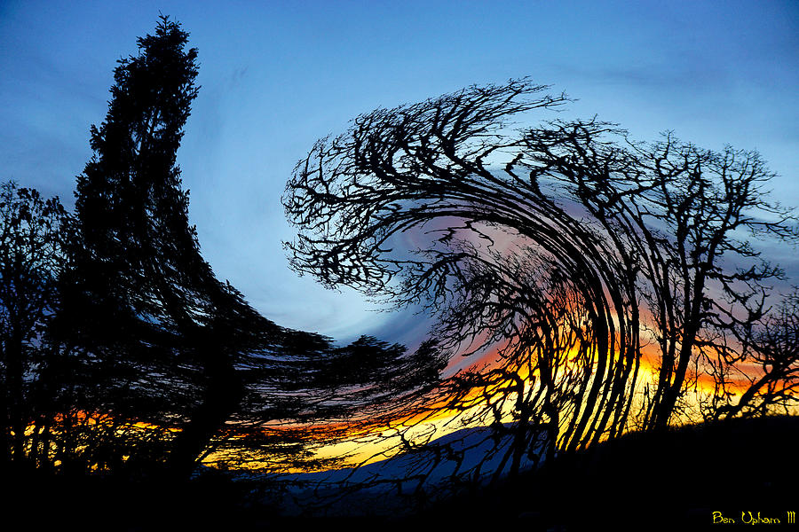 Twisted Sunset Photograph by Ben Upham III