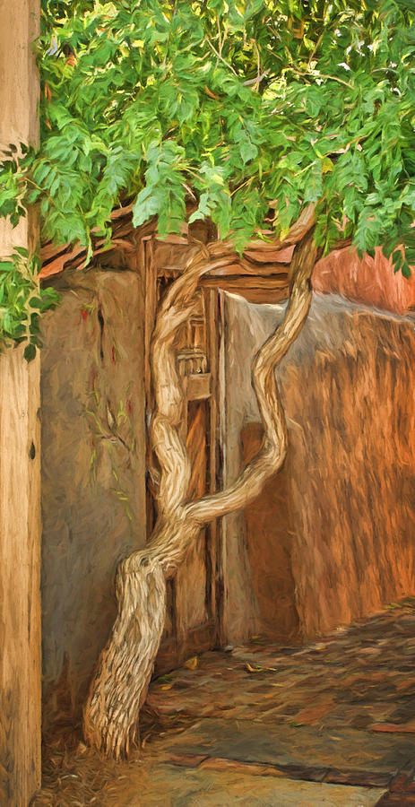 Twisted Tree - Wall Photograph by Nikolyn McDonald