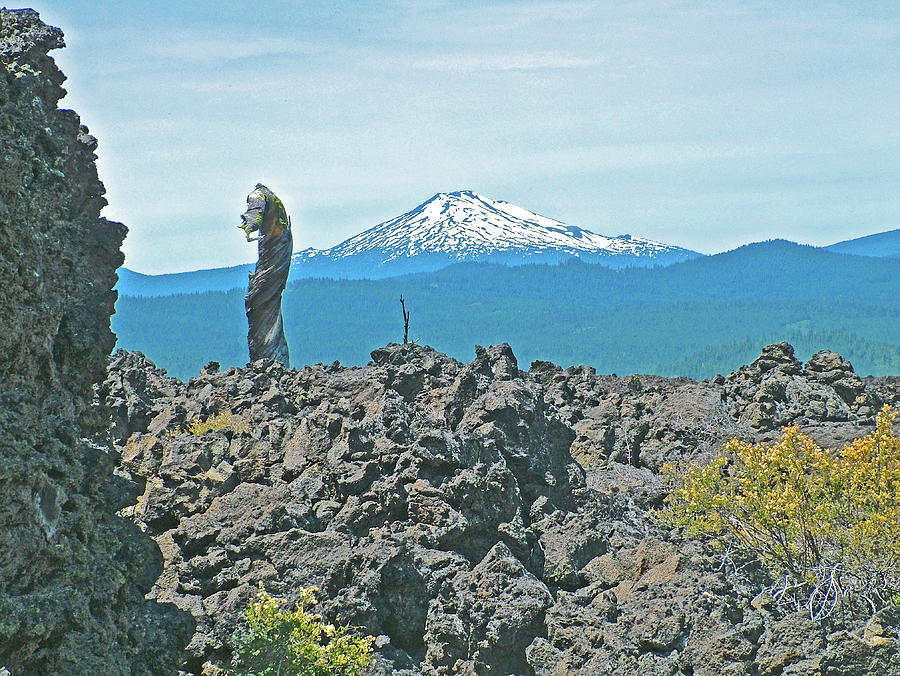 Twisted Trunk and Mount Bachelor in Newberry National Volcanic Monument, Oregon Photograph by Ruth Hager