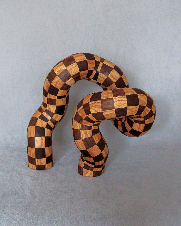 Abstract Sculpture - Twisted Wood 2  by Brian Tepper 