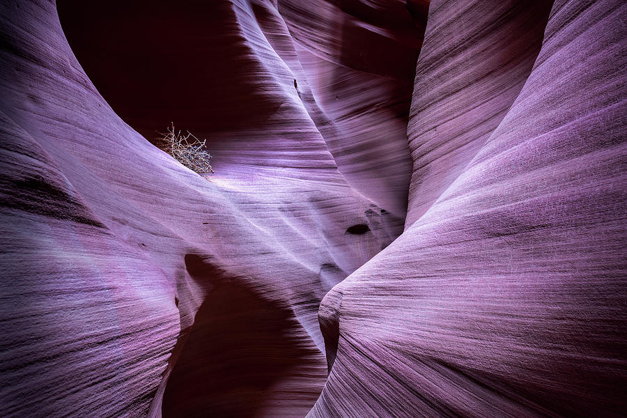 Antelope Canyon Photograph - Twists and Turns by Jon Glaser