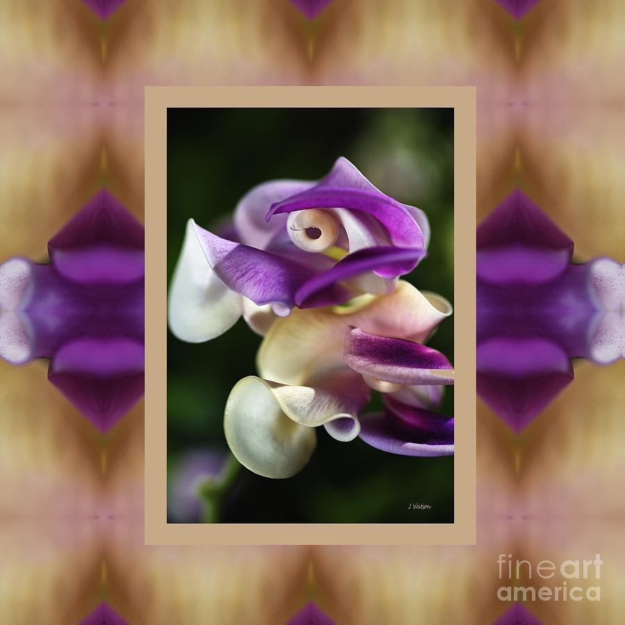 Twisty Corkscrew Flower With Design Photograph by Joy Watson