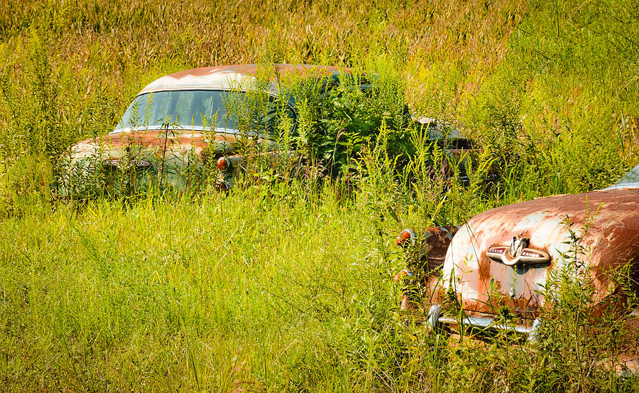 Two 1953 Buick Roadmasters in a September Field Photograph by Greg Jackson