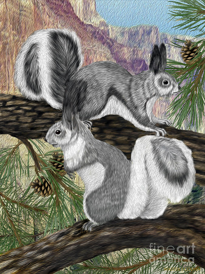 Two Abret Squirrels Digital Art by Walter Colvin
