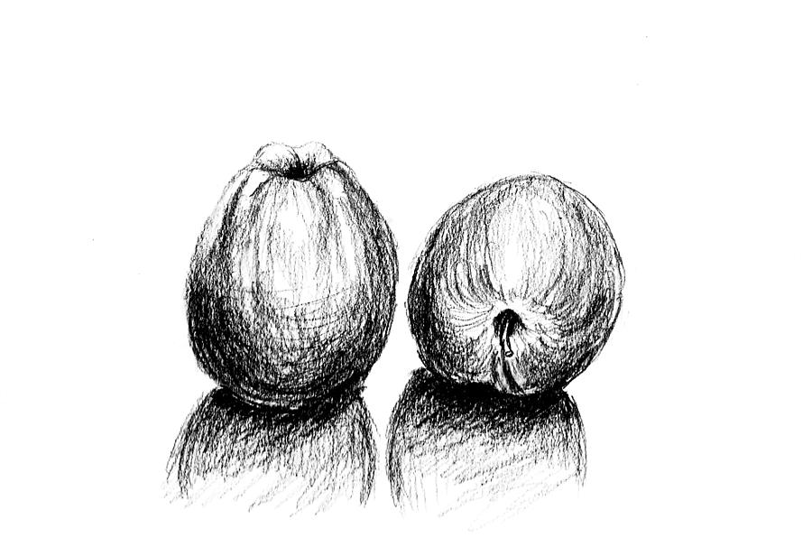 Two apple on dinner table Drawing by Hae Kim