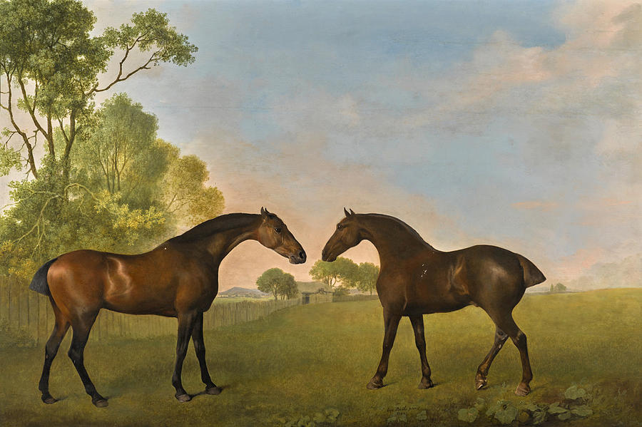 Two Bay Hunters in a Paddock Painting by George Stubbs
