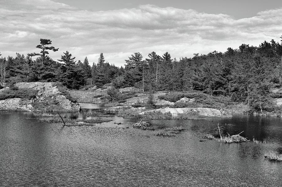 Two Beaver Lodges BW  Photograph by Lyle Crump