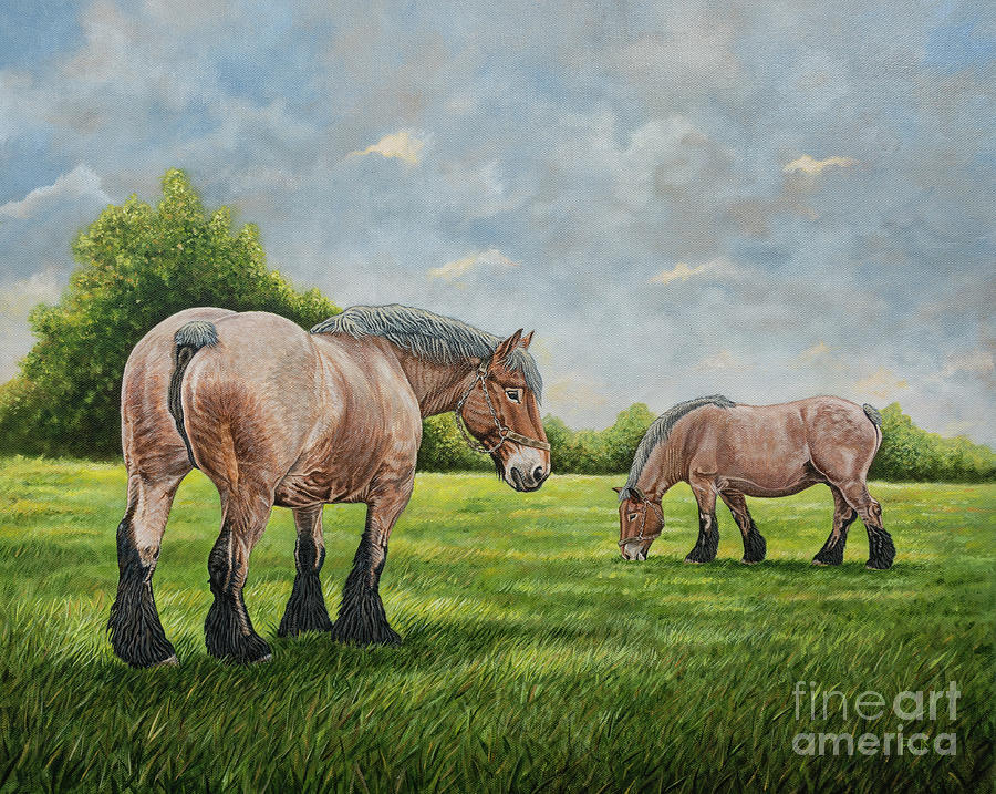 Two belgian draft horses in a green meadow Painting by P ...