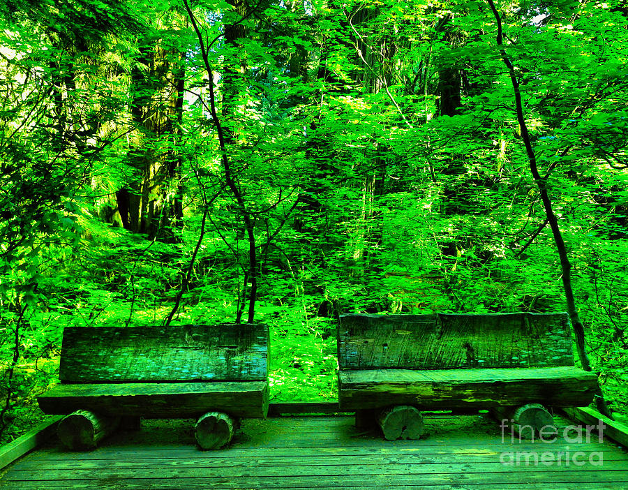 Two benches in the green Photograph by Jeff Swan