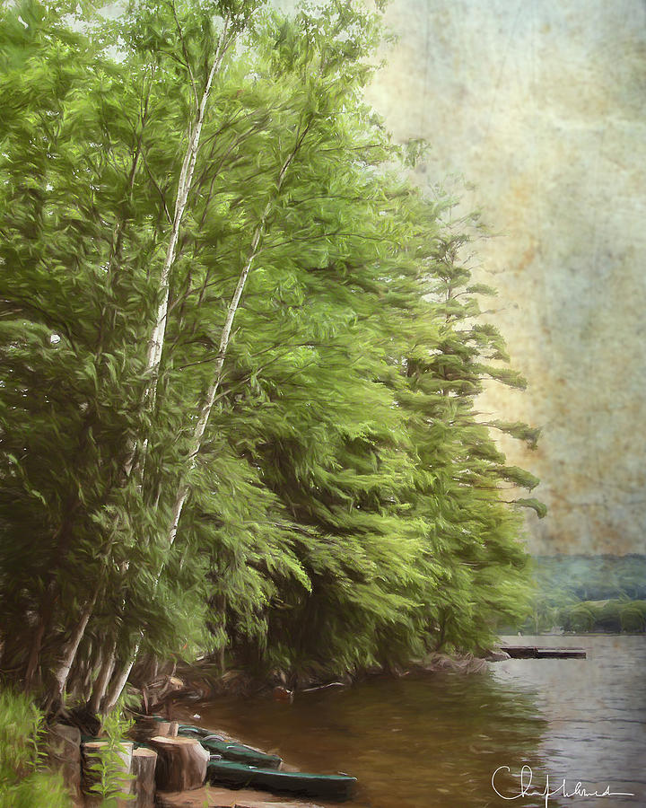 Two Birches by Christopher Meade Two Birches by Christopher Meade