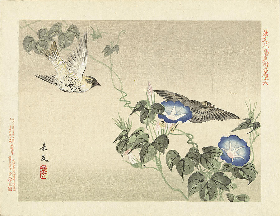 Two birds flying near blue bindweed Drawing by Matsumura Keibun