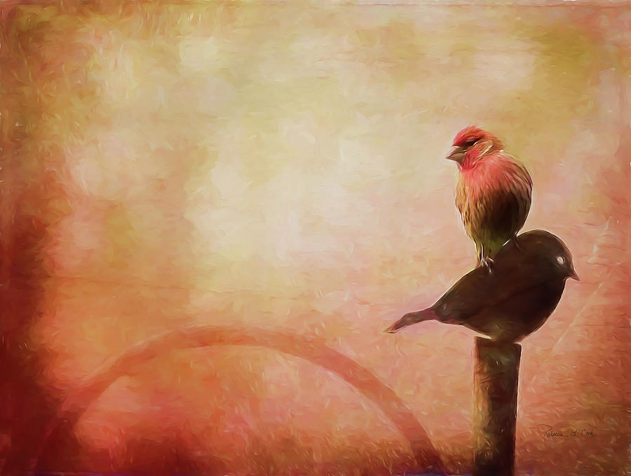 Finch Photograph - Two Birds In The Mist by Bellesouth Studio