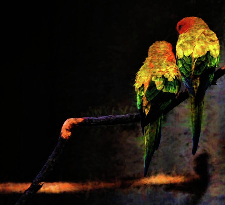 Two Birds by Kristalin Davis Photograph by Kristalin Davis