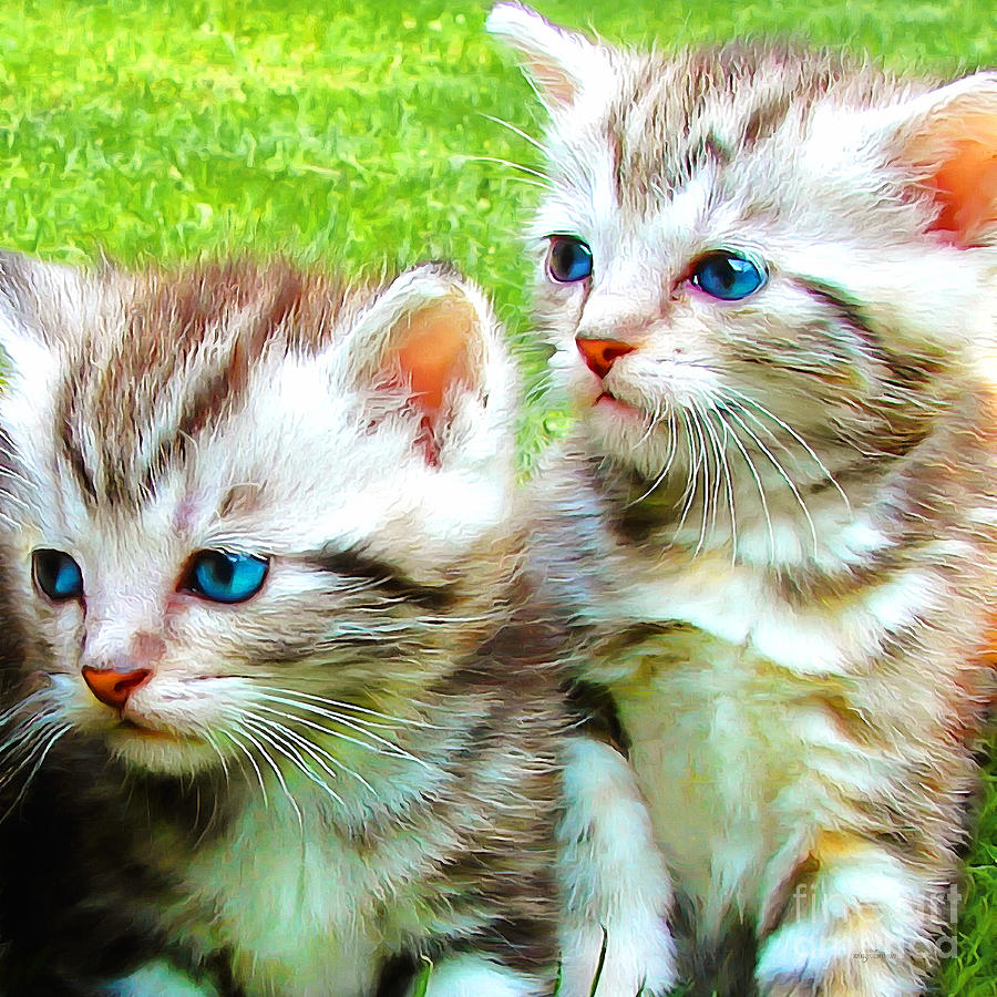 Cat Photograph - Two Blue Eye Kittens Painterly 20170916 square by Wingsdomain Art and Photography
