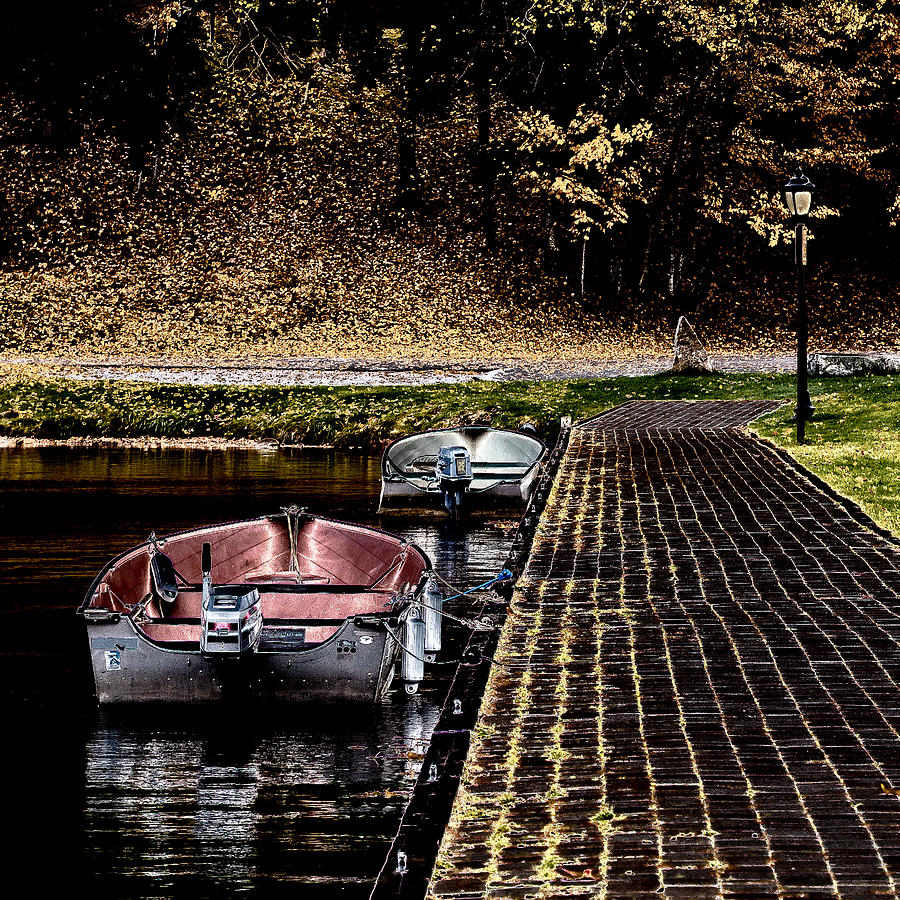 Tree Photograph - Two Boats on the Pond by David Patterson