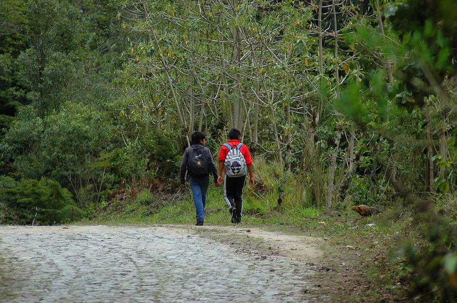Two Boys Walking Home from School Photograph by Teresa Stallings