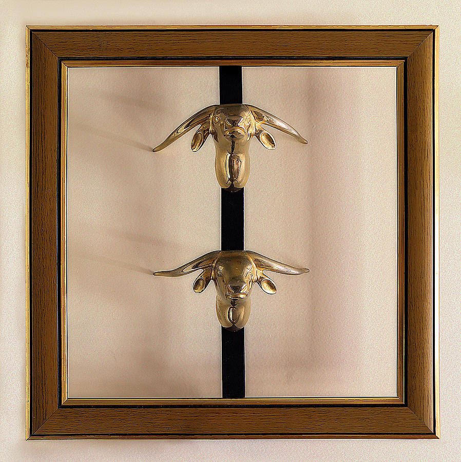 Two Bull Heads Photograph by Viktor Savchenko