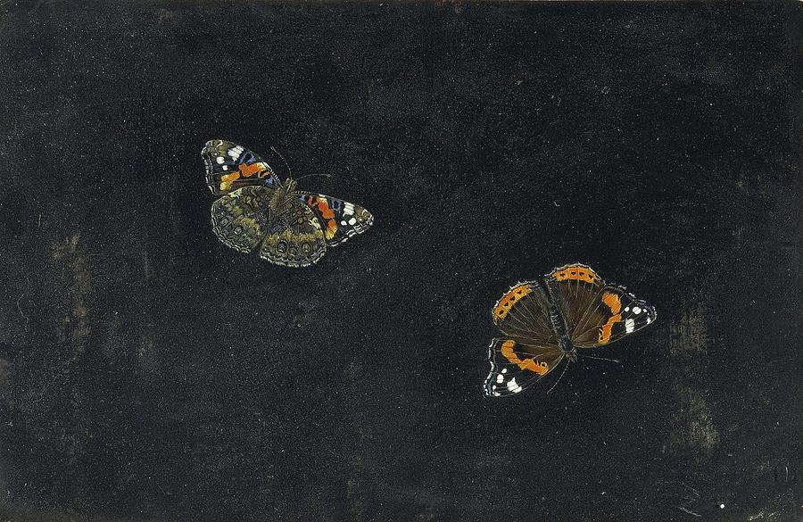 Two Butterflies By Giovanna Garzoni. Painting