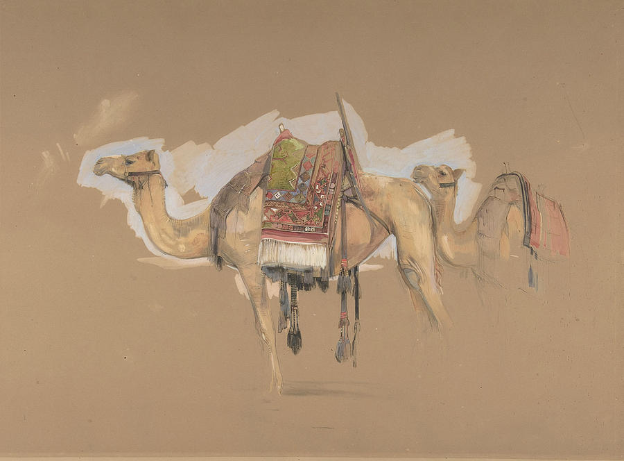 Two Camels Drawing by John Frederick Lewis