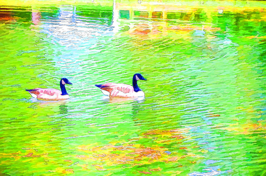Two Canadian geese in the water Painting by Jeelan Clark