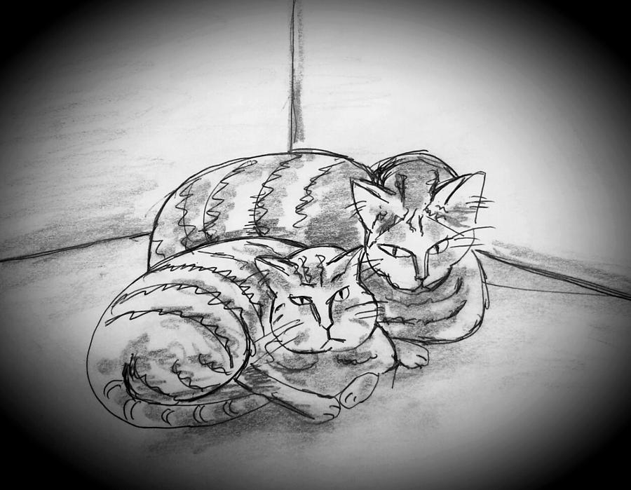 Two cat Drawing by Hae Kim Pixels