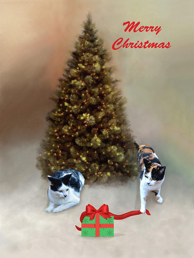 Two Cats At Christmas Photograph by Sandi OReilly