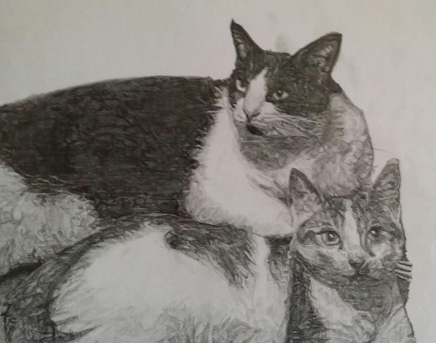 Two cats Drawing by Uzor Dijeh Fine Art America