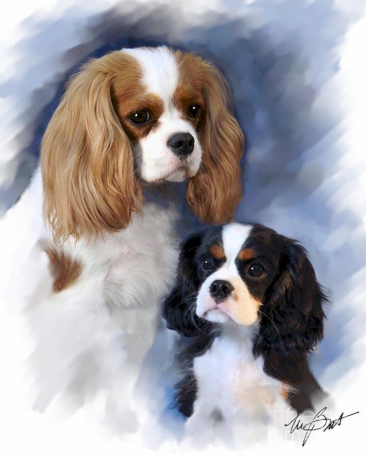 Two Cavaliers Photograph by Maxine Bochnia - Fine Art America