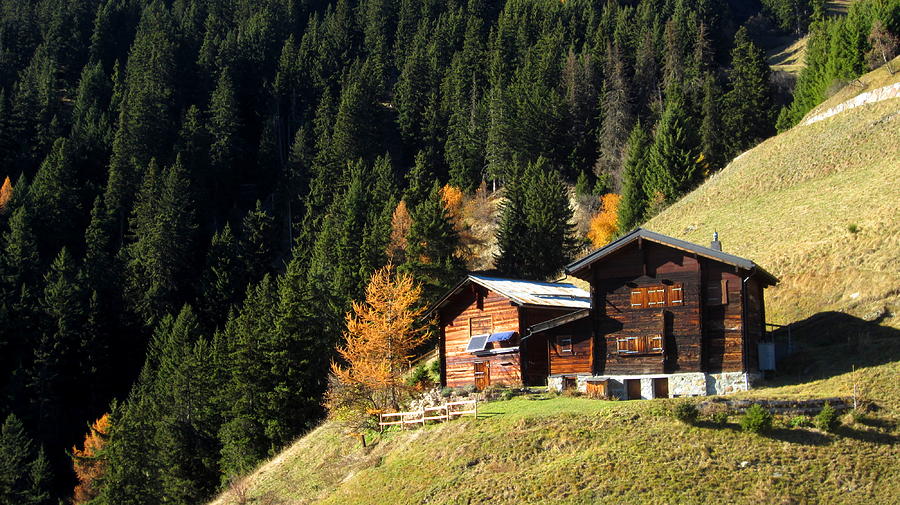Two Chalets on a Mountainside Photograph by Ernst Dittmar