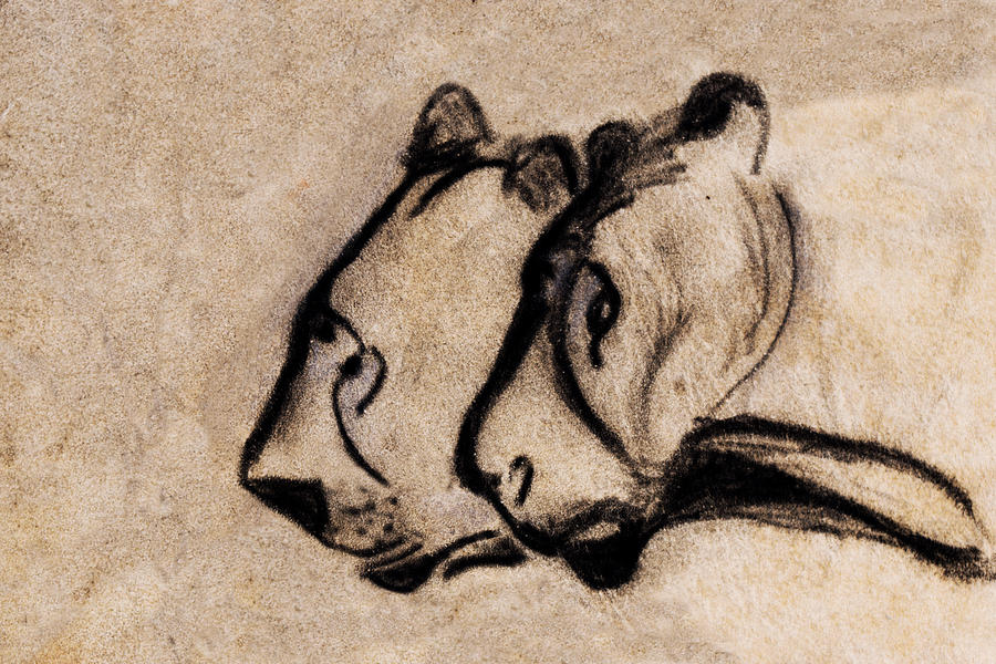 Prehistoric Painting - Two Chauvet Cave Lions - Clear Version by Weston Westmoreland