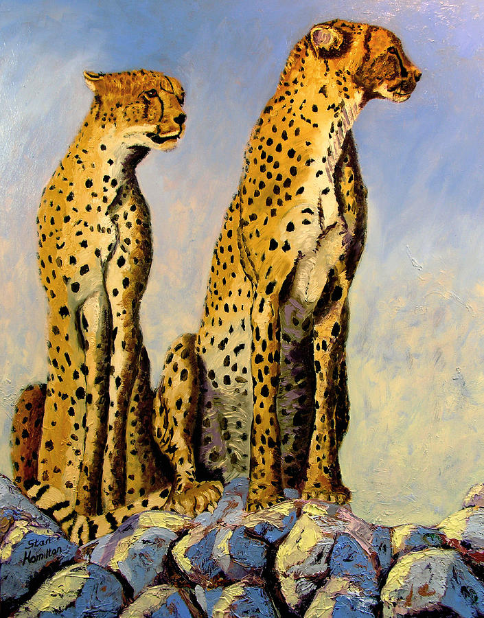 Two Cheetahs Painting by Stan Hamilton
