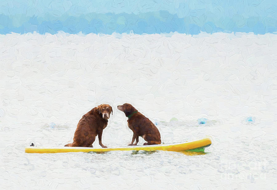 Two chocolate retrievers on a paddle board Digital Art by Les Palenik