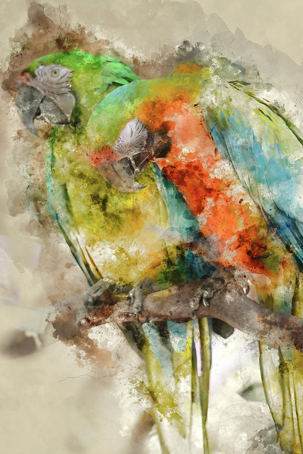 Nature Painting - Two Colorful Macaws Digital Watercolor on Photograph by Brandon Bourdages