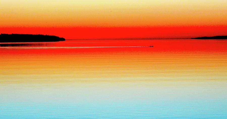 Two Cormorants Swimming Across Kempenfelt Bay Three  Digital Art by Lyle Crump