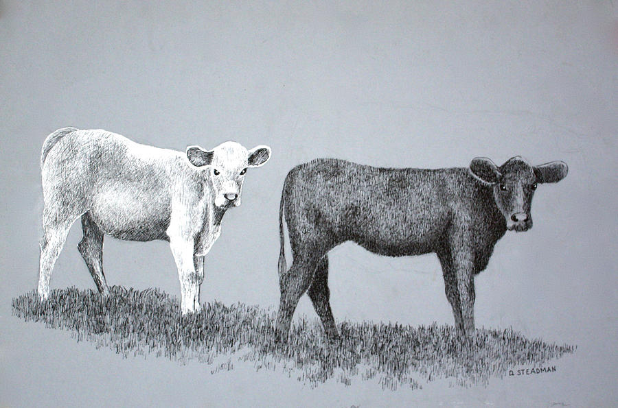 Two Cows Painting By Deanna Steadman - Fine Art America