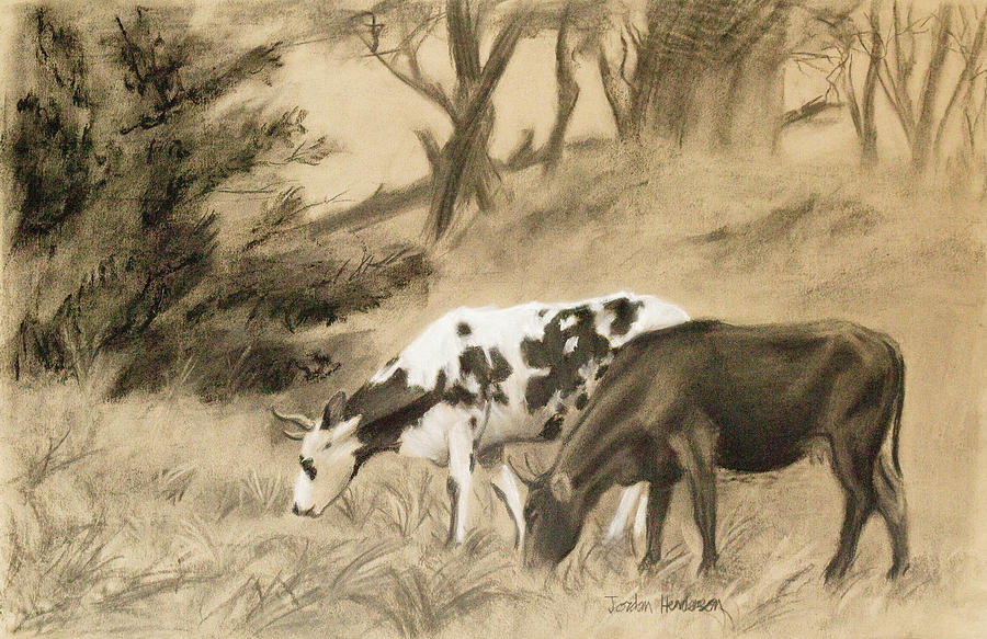 Two Cows Grazing Drawing by Jordan Henderson
