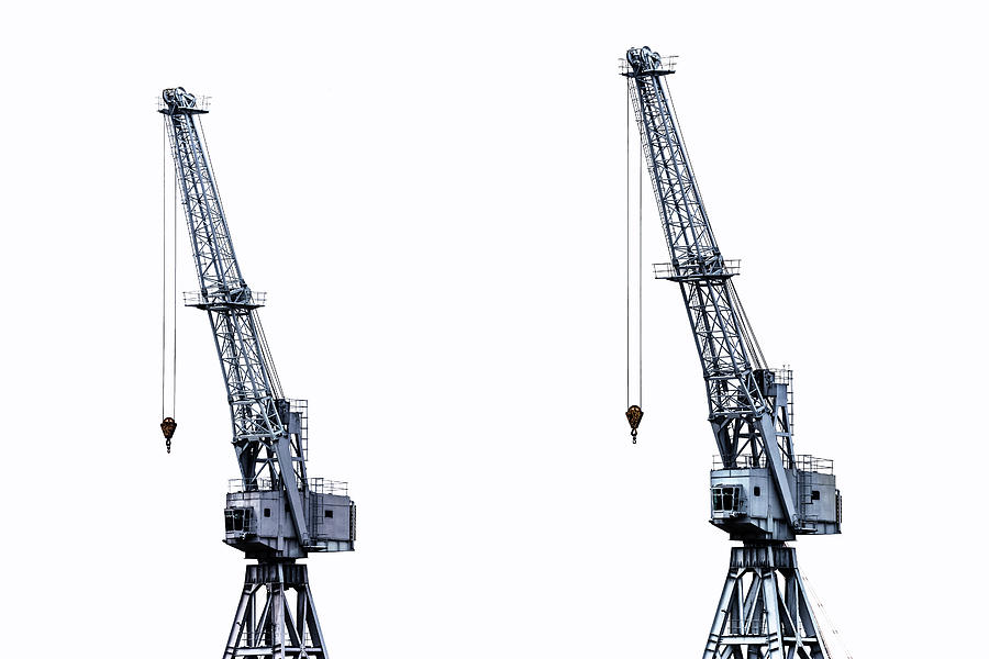 Crane Photograph - Two Cranes by Joana Kruse