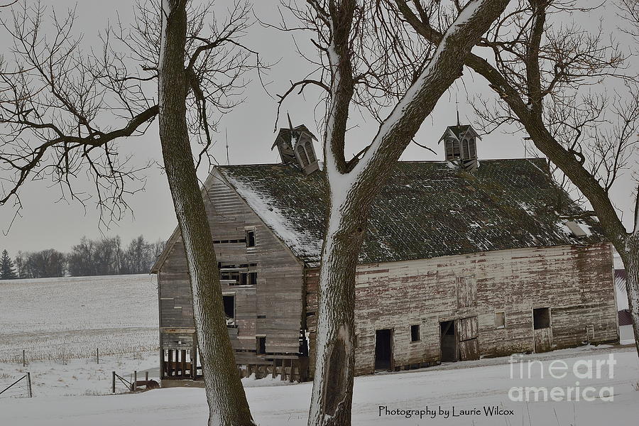 Winter Photograph - Two Cupolas  by Laurie Wilcox