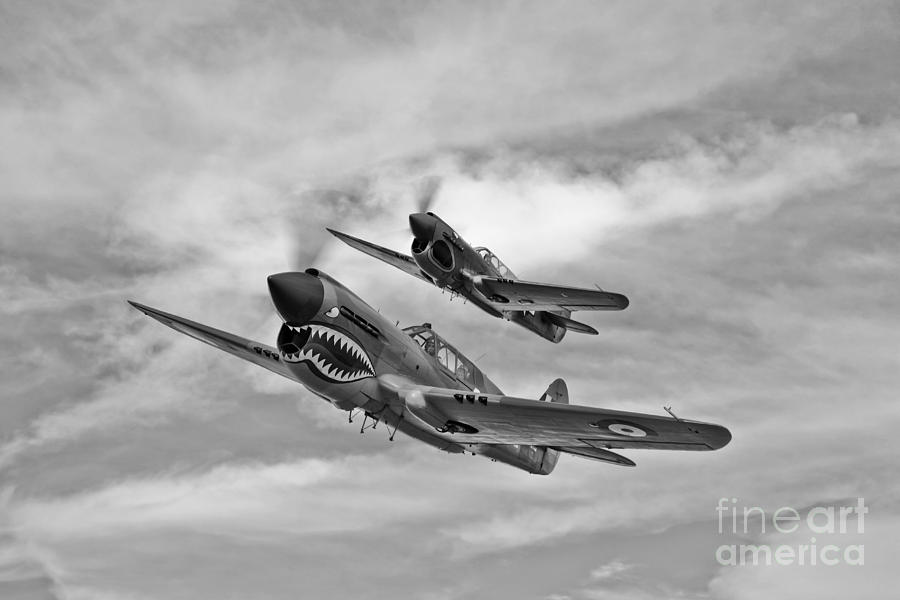 Black And White Photograph - Two Curtiss P-40 Warhawks In Flight by Scott Germain