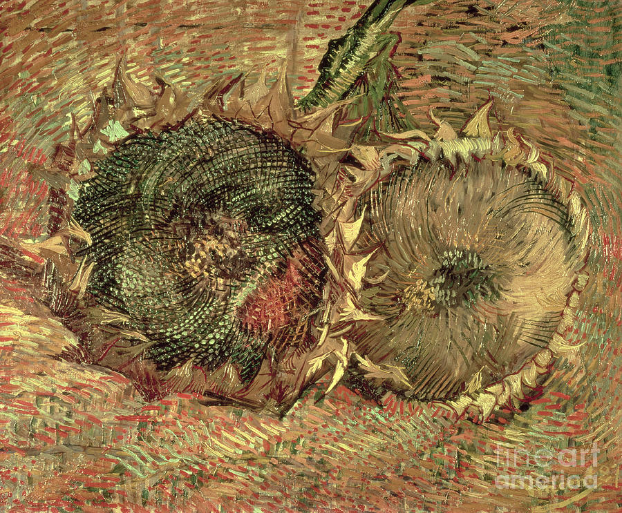 Two Cut Sunflowers, 1887 Painting by Vincent Van Gogh