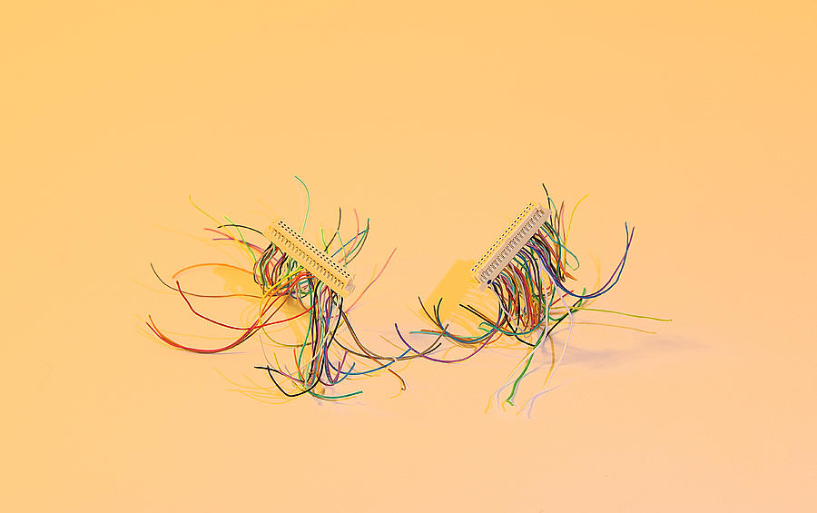 Two Dancing Centipedes Photograph by Viktor Savchenko