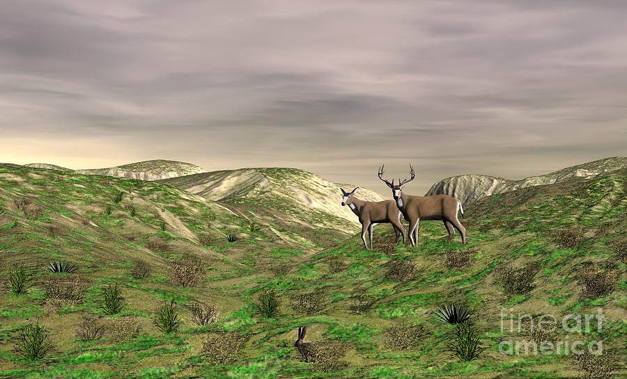 Two Deer Digital Art by Walter Colvin