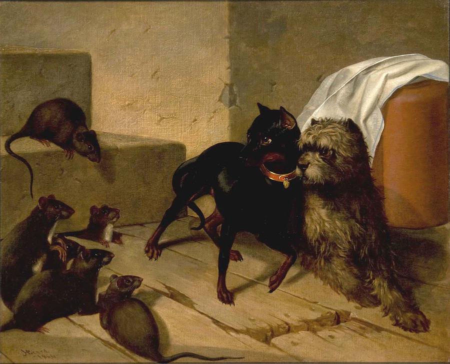 Two Dogs Cowering before Rats Painting by MotionAge Designs