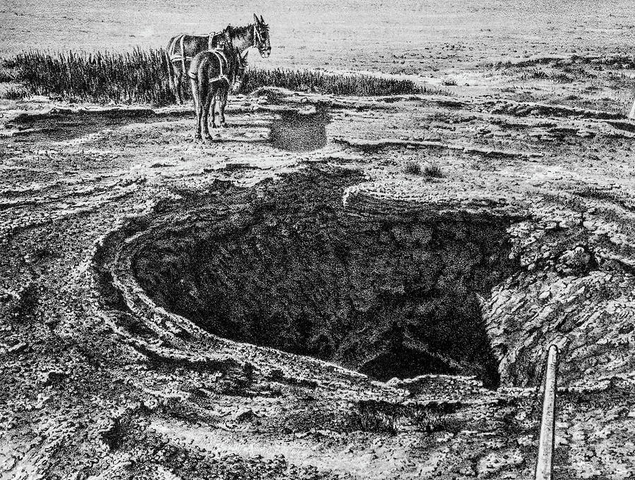 Two Donkeys at the Well in the Desert Photograph by Douglas Barnett