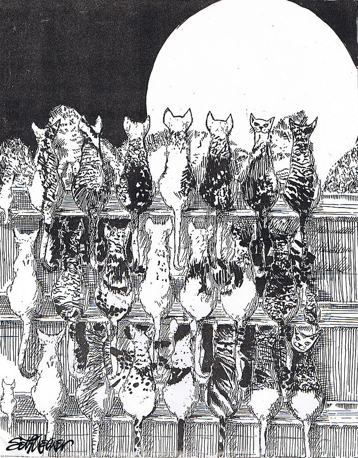 Two Dozen and One Cats Drawing by Seth Weaver Two Dozen and One Cats Drawing by Seth Weaver