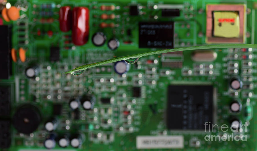 Two Drops of water over a green circuit board Photograph by Les Palenik
