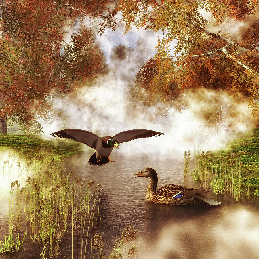 Two ducks in a pond Painting by Jan Keteleer