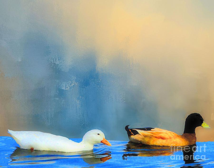 Wildlife Photograph - Two Ducks in the Lake by Janette Boyd