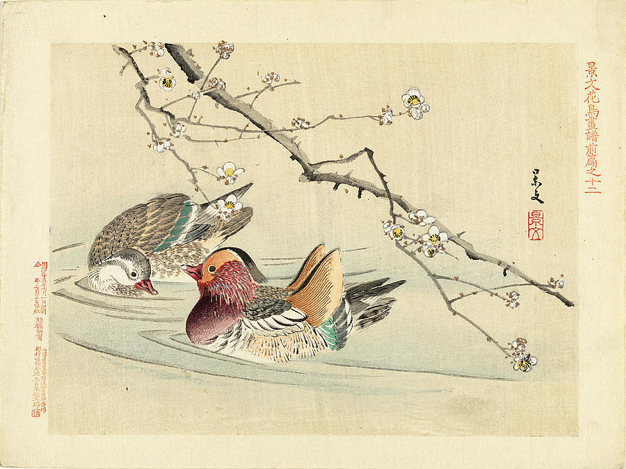 Two Ducks Drawing by Matsumura Keibun