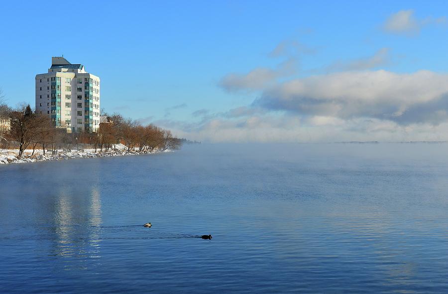 Two Ducks On A Misty Lake Simcoe  Photograph by Lyle Crump